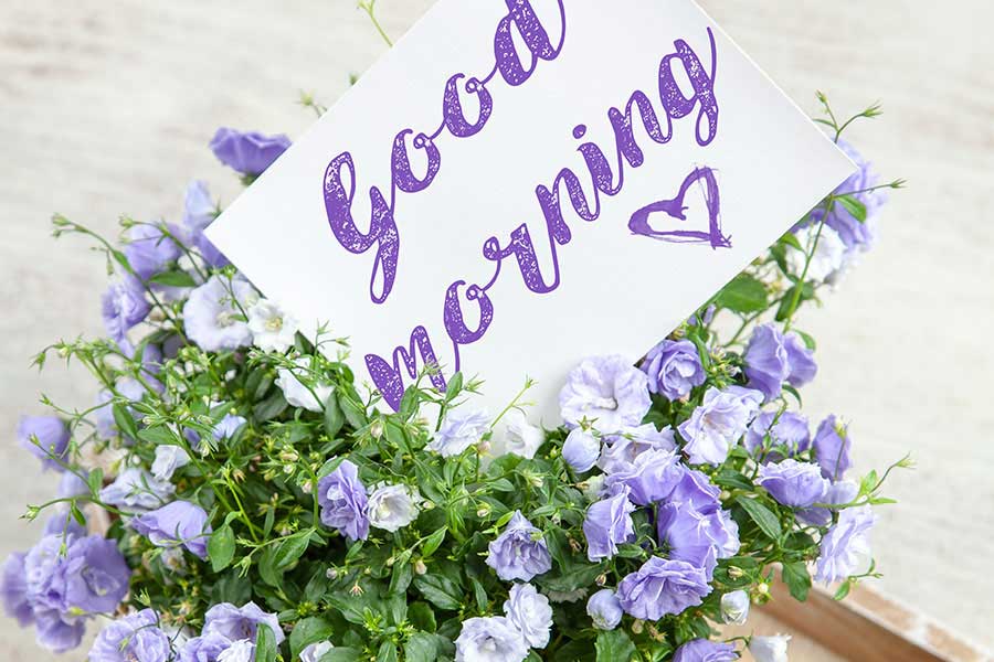 Perspective: Seeing Life Through New Eyes #2