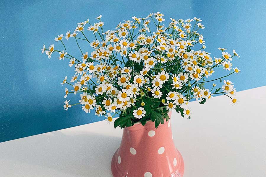 Living: Lessons Learned Along the Way #2