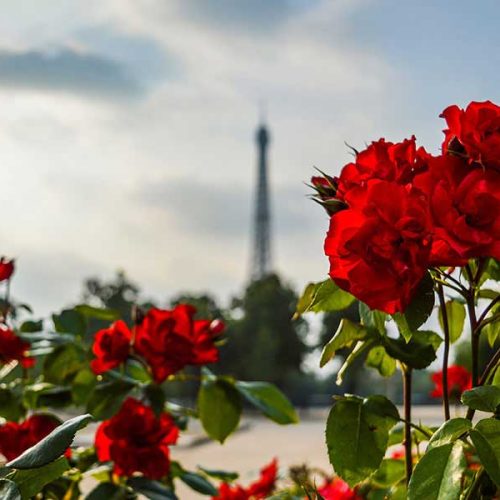 Travel: Exploring the World on My Own #2