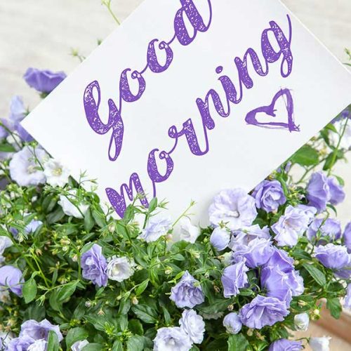 Perspective: Seeing Life Through New Eyes #2