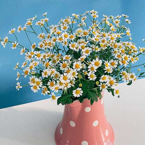 Living: Lessons Learned Along the Way #2