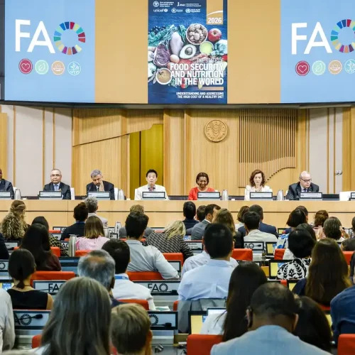 Brasil continua fora do Mapa da Fome, aponta relatório da ONU