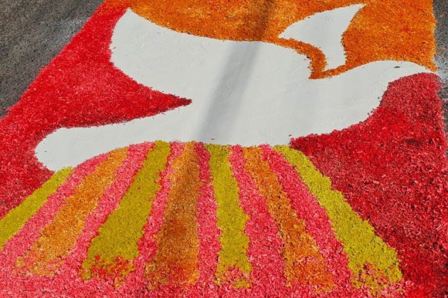 Cidades de São Paulo celebram Corpus Christi 